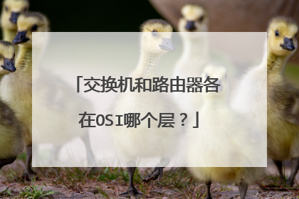 交换机和路由器各在OSI哪个层?