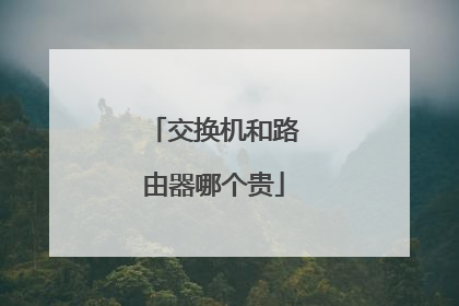 交换机和路由器哪个贵
