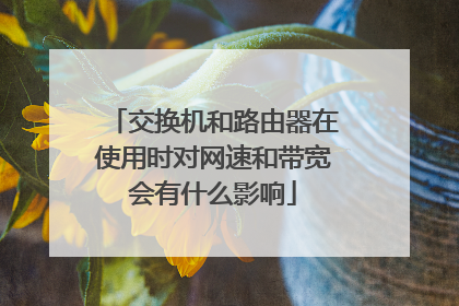 交换机和路由器在使用时对网速和带宽会有什么影响