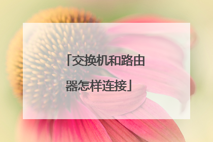 交换机和路由器怎样连接