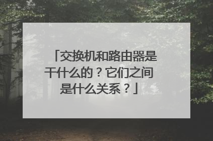 交换机和路由器是干什么的？它们之间是什么关系？