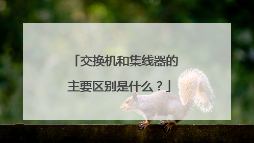交换机和集线器的主要区别是什么？