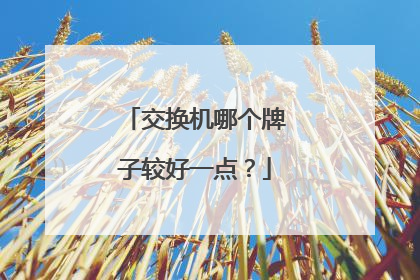 交换机哪个牌子较好一点？
