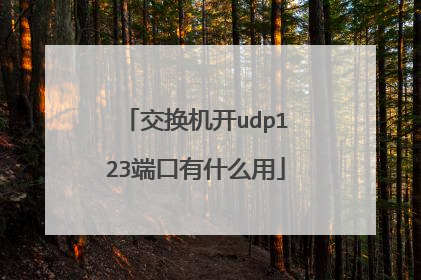 交换机开udp123端口有什么用