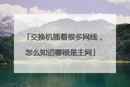 交换机插着很多网线,怎么知道哪根是主网