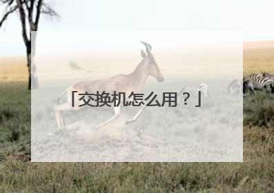 交换机怎么用？