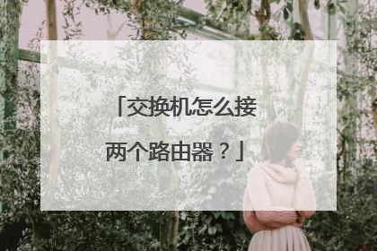 交换机怎么接两个路由器？