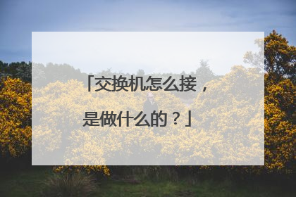 交换机怎么接，是做什么的？