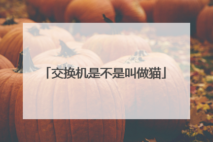 交换机是不是叫做猫