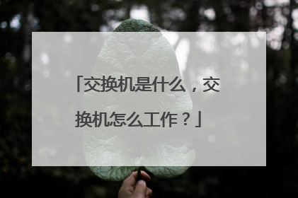 交换机是什么，交换机怎么工作？