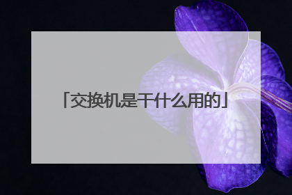 交换机是干什么用的