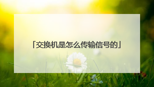 交换机是怎么传输信号的