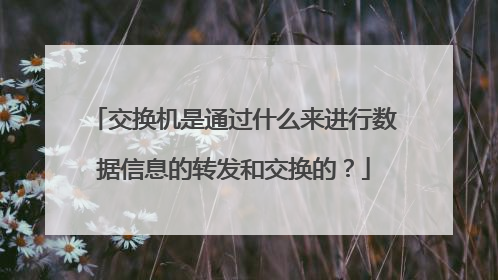 交换机是通过什么来进行数据信息的转发和交换的？