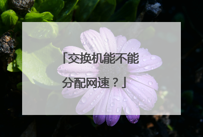 交换机能不能分配网速？