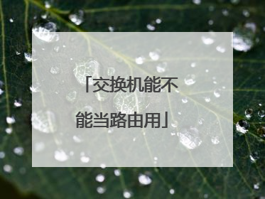 交换机能不能当路由用