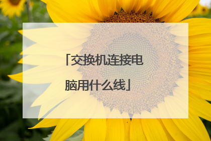 交换机连接电脑用什么线