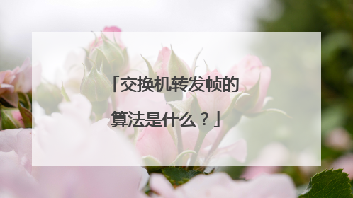 交换机转发帧的算法是什么?