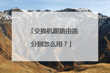 交换机跟路由器分别怎么用？