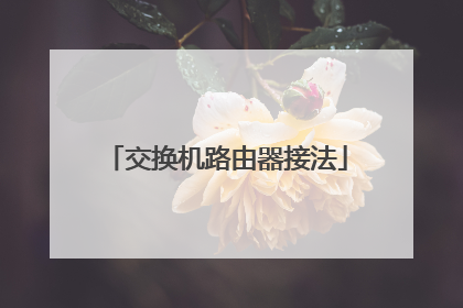 交换机路由器接法