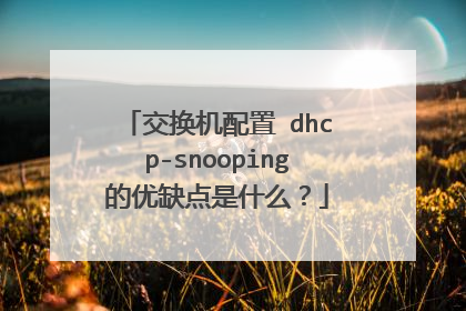 交换机配置 dhcp-snooping的优缺点是什么？