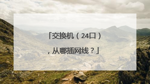 交换机(24口),从哪插网线?