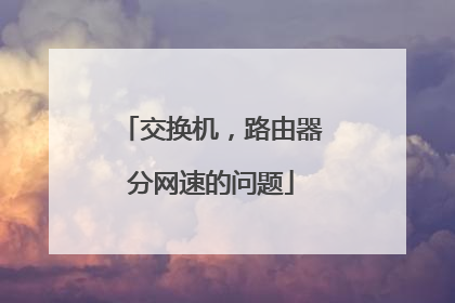 交换机,路由器分网速的问题