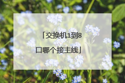 交换机1到8口哪个接主线