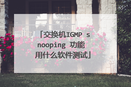交换机IGMP snooping 功能 用什么软件测试