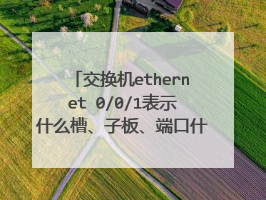 交换机ethernet 0/0/1表示什么槽、子板、端口什么的，谁能用实际图片的方式解说一下，特别是ethernet 0/1