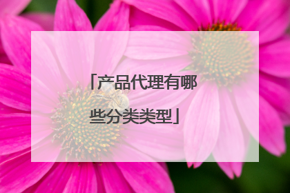 产品代理有哪些分类类型