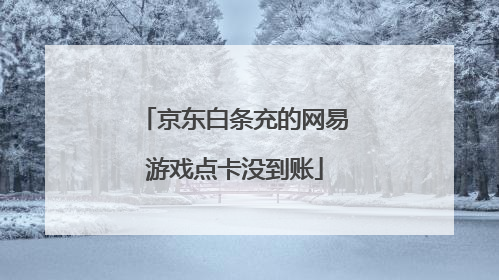 京东白条充的网易游戏点卡没到账