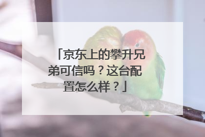京东上的攀升兄弟可信吗?这台配置怎么样?