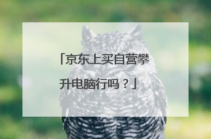 京东上买自营攀升电脑行吗?