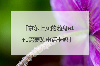 京东上卖的随身wifi需要装电话卡吗