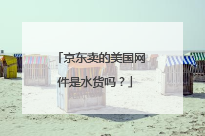 京东卖的美国网件是水货吗？