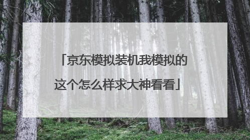 京东模拟装机我模拟的这个怎么样求大神看看