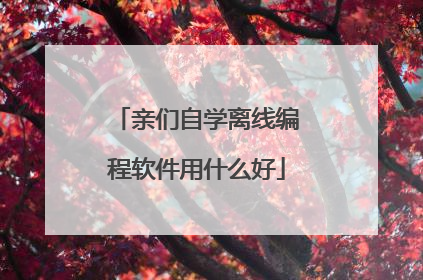 亲们自学离线编程软件用什么好