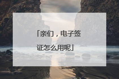 亲们，电子签证怎么用呢
