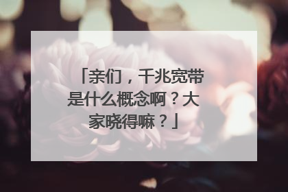 亲们,千兆宽带是什么概念啊?大家晓得嘛?