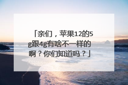 亲们,苹果12的5g跟4g有啥不一样的啊?你们知道吗?
