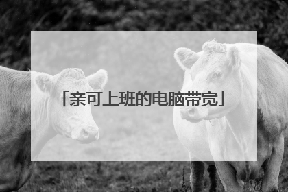 亲可上班的电脑带宽