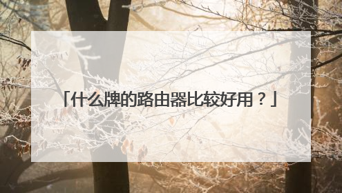 什么牌的路由器比较好用?