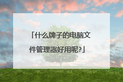 什么牌子的电脑文件管理器好用呢?