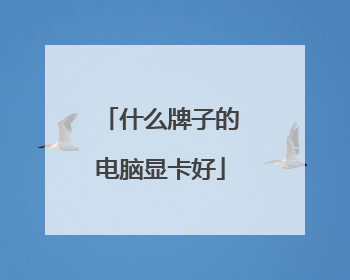 什么牌子的电脑显卡好