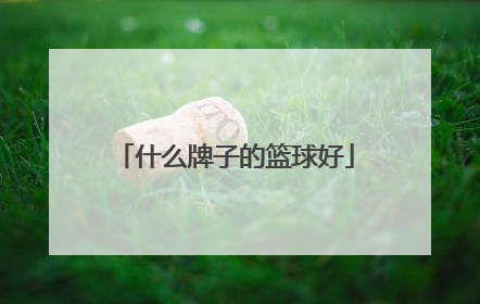 什么牌子的篮球好