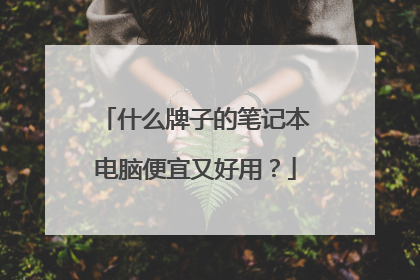 什么牌子的笔记本电脑便宜又好用?