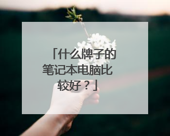 什么牌子的笔记本电脑比较好?