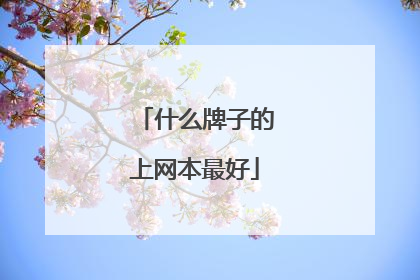 什么牌子的上网本最好