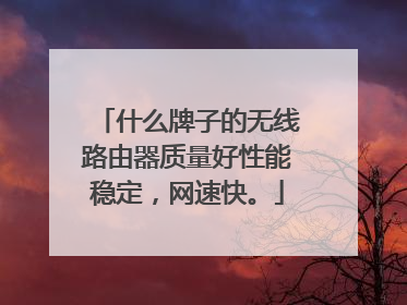 什么牌子的无线路由器质量好性能稳定，网速快。
