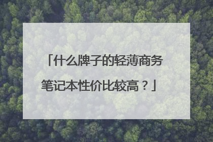 什么牌子的轻薄商务笔记本性价比较高?